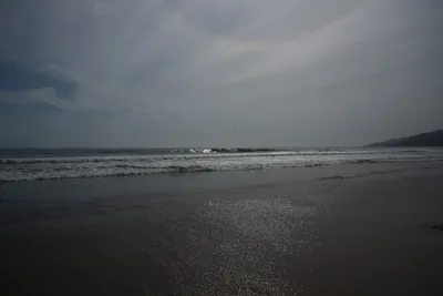 DSC_2246 (Large).JPG